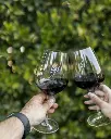 VGS Chateau Potelle signature Napa.webp