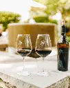 VGS Chateau Potelle signature tasting US Napa.webp