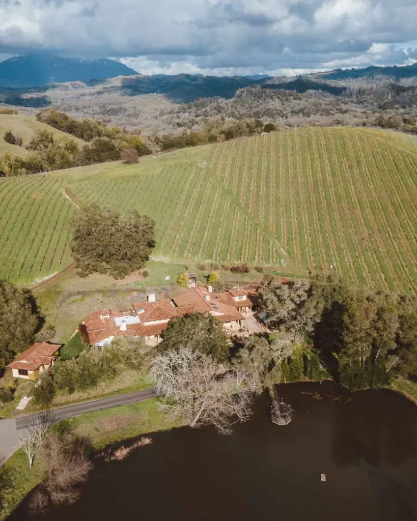 Acaibo Sonoma experience and tasting.webp