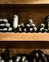 Feudi di San Gregorio wine cellar wines .webp