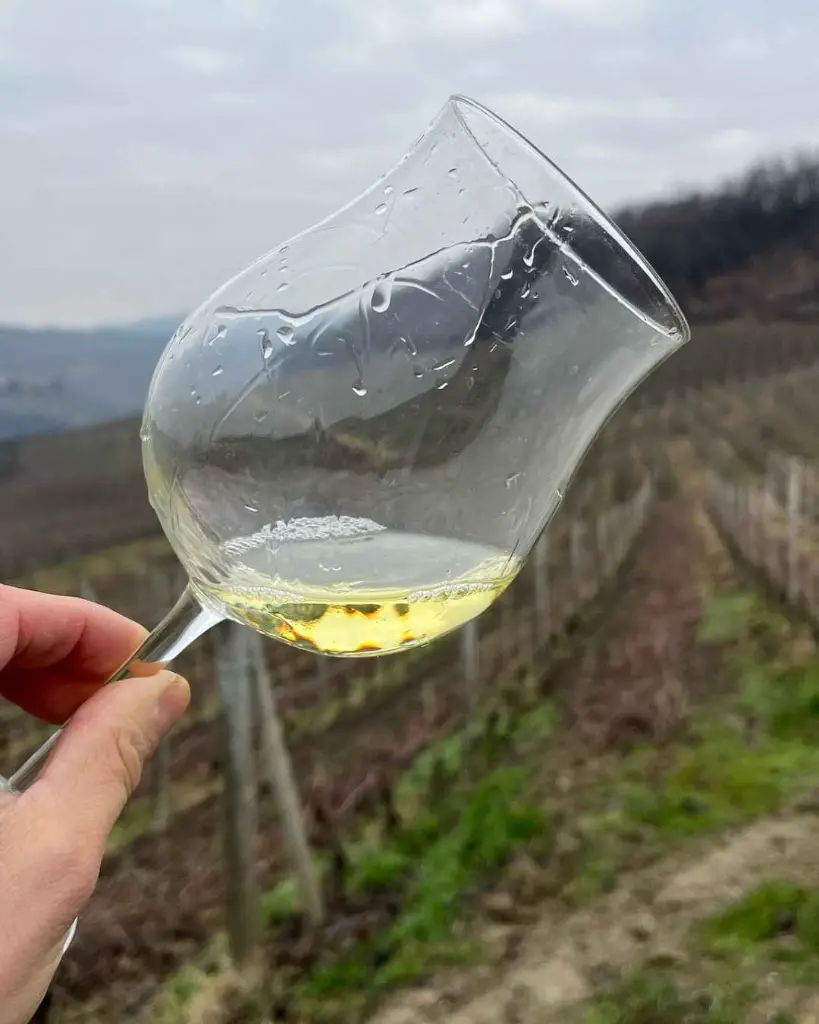 white-wine-tastin-winery-cascina-sot-.webp