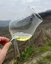 white-wine-tastin-winery-cascina-sot-.webp