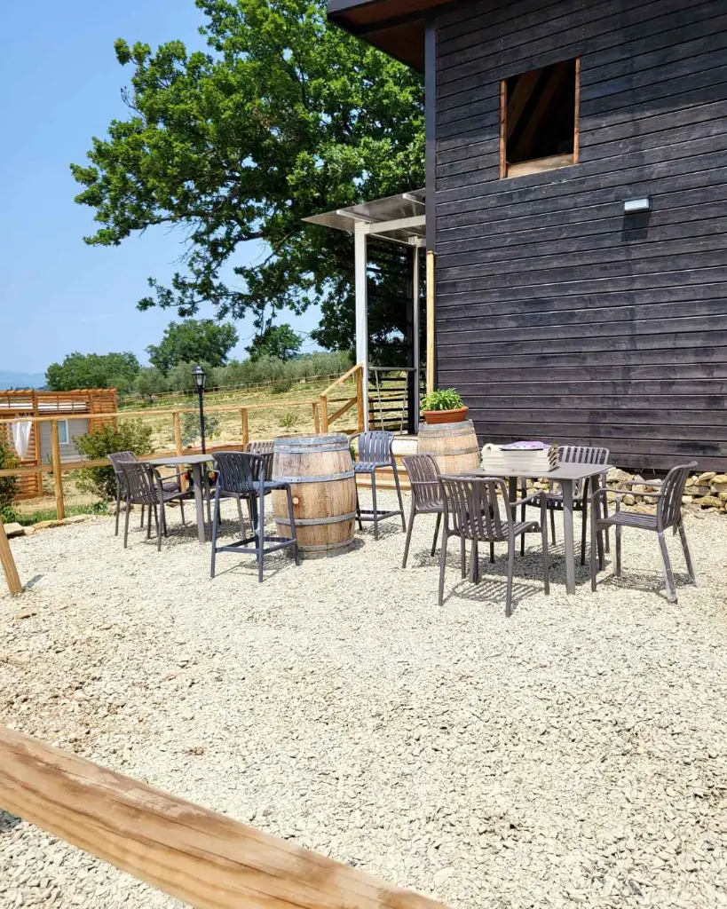 VioVillas, wine tasting.webp