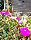VioVillas Arezzo, outdoor wine tasting.webp