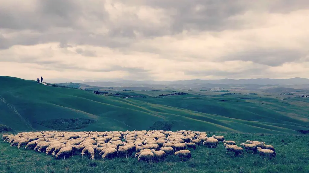 Tuscany lanscapes hiking with locals.webp