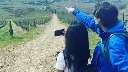 Local expert guide wine and hike.webp