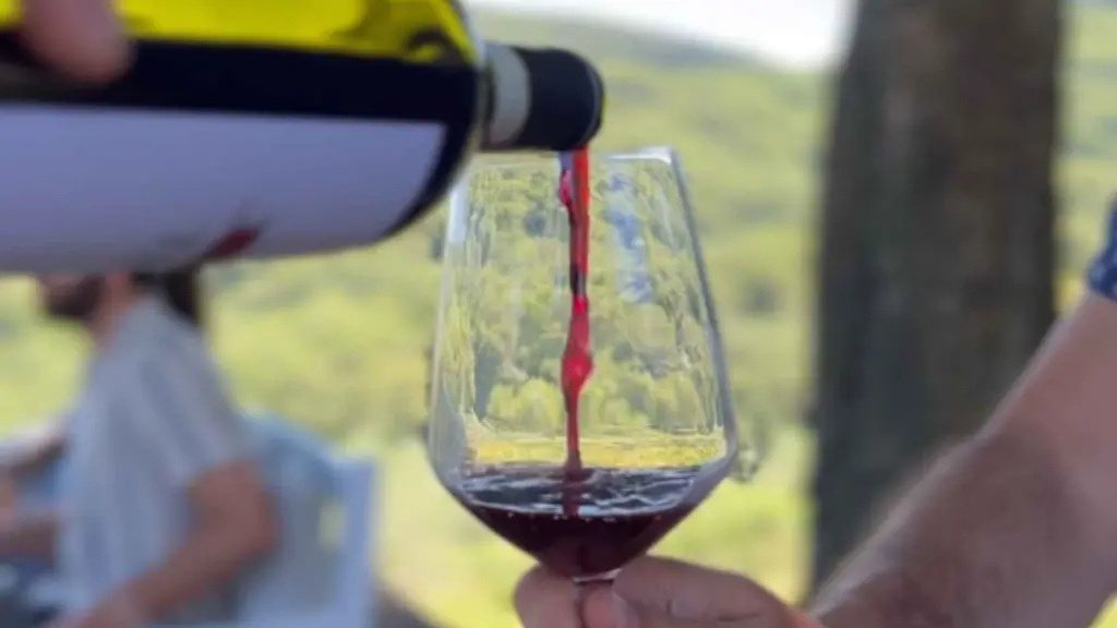 Wine and hike sip organic Chianti.webp