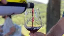 Wine and hike sip organic Chianti.webp
