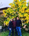 Eat like a Local- Florence’s Best Food & Wine Experience with locals.webp