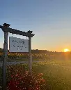 cave-spring-vineyards-niagara-ontario-canada.webp