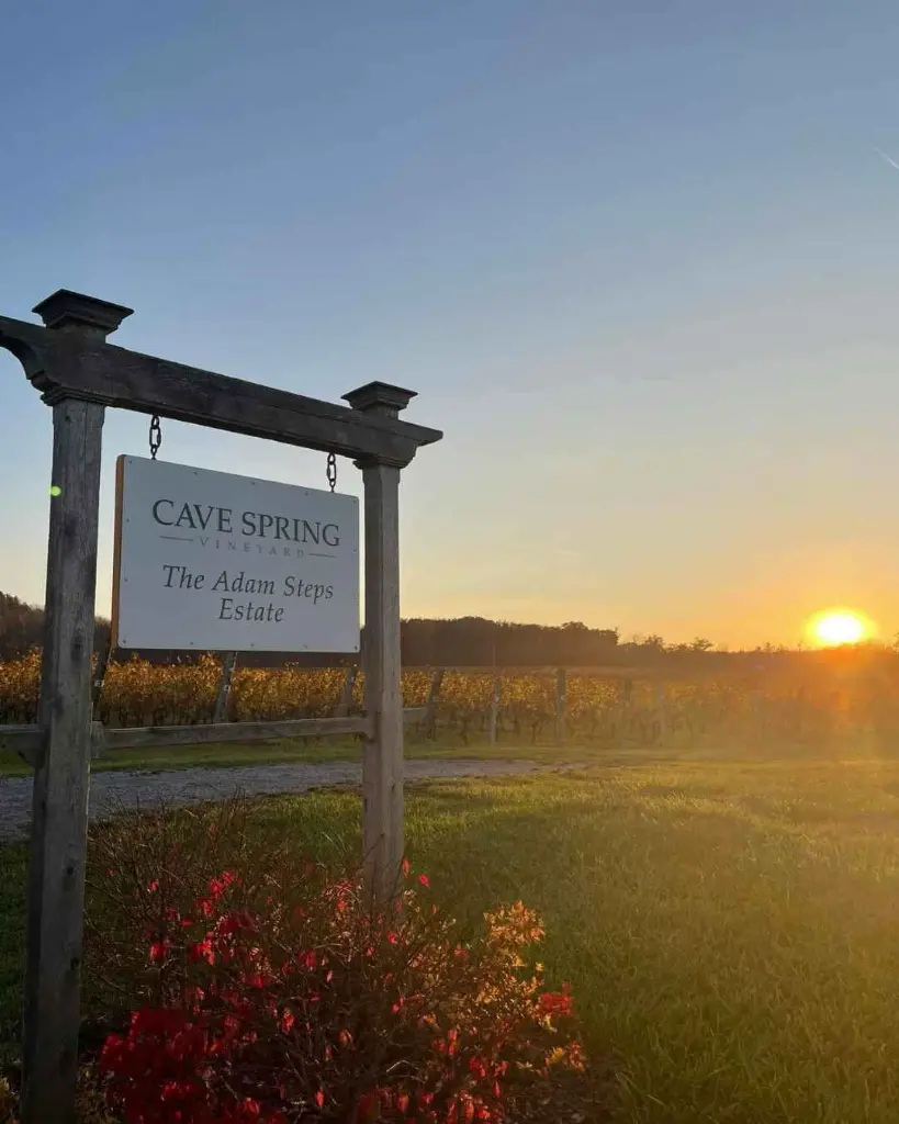 cave-spring-vineyards-niagara-ontario-canada.webp