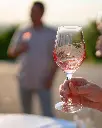 Crama Oprisor, wine tasting.webp