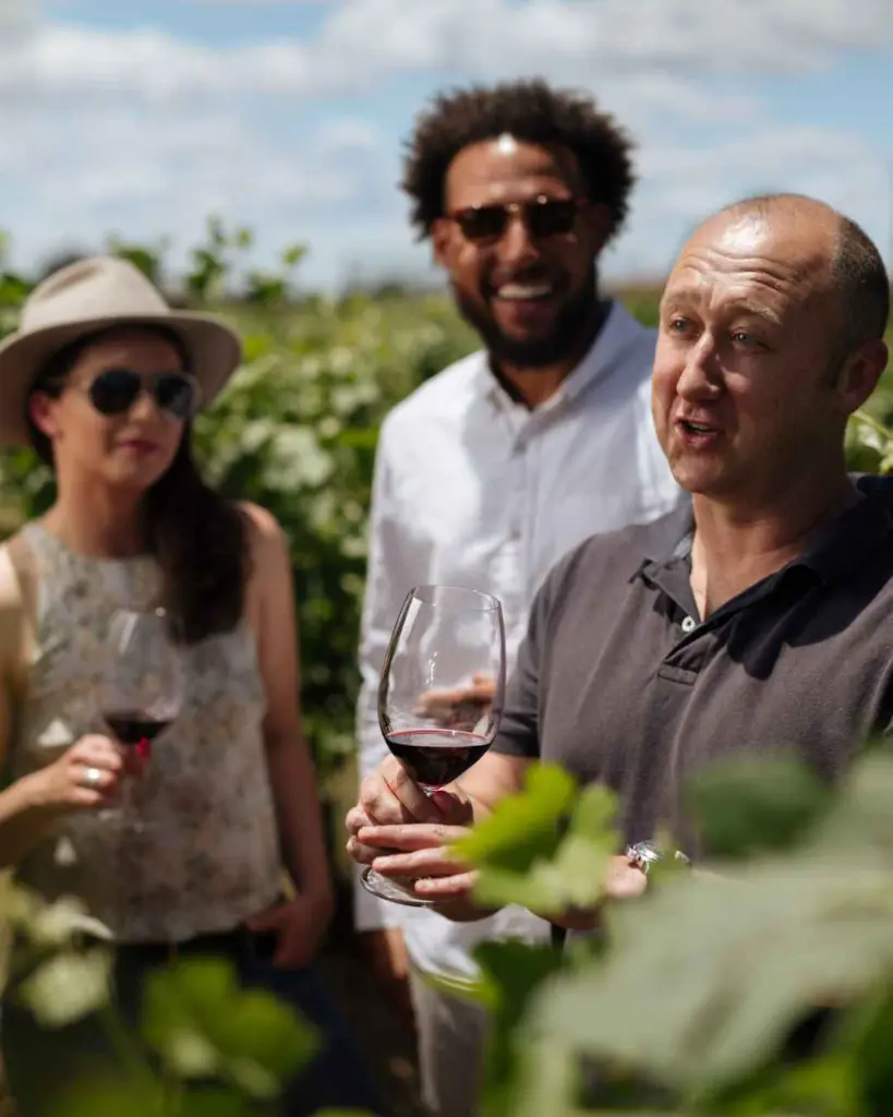 elderton-wines-tasting.webp