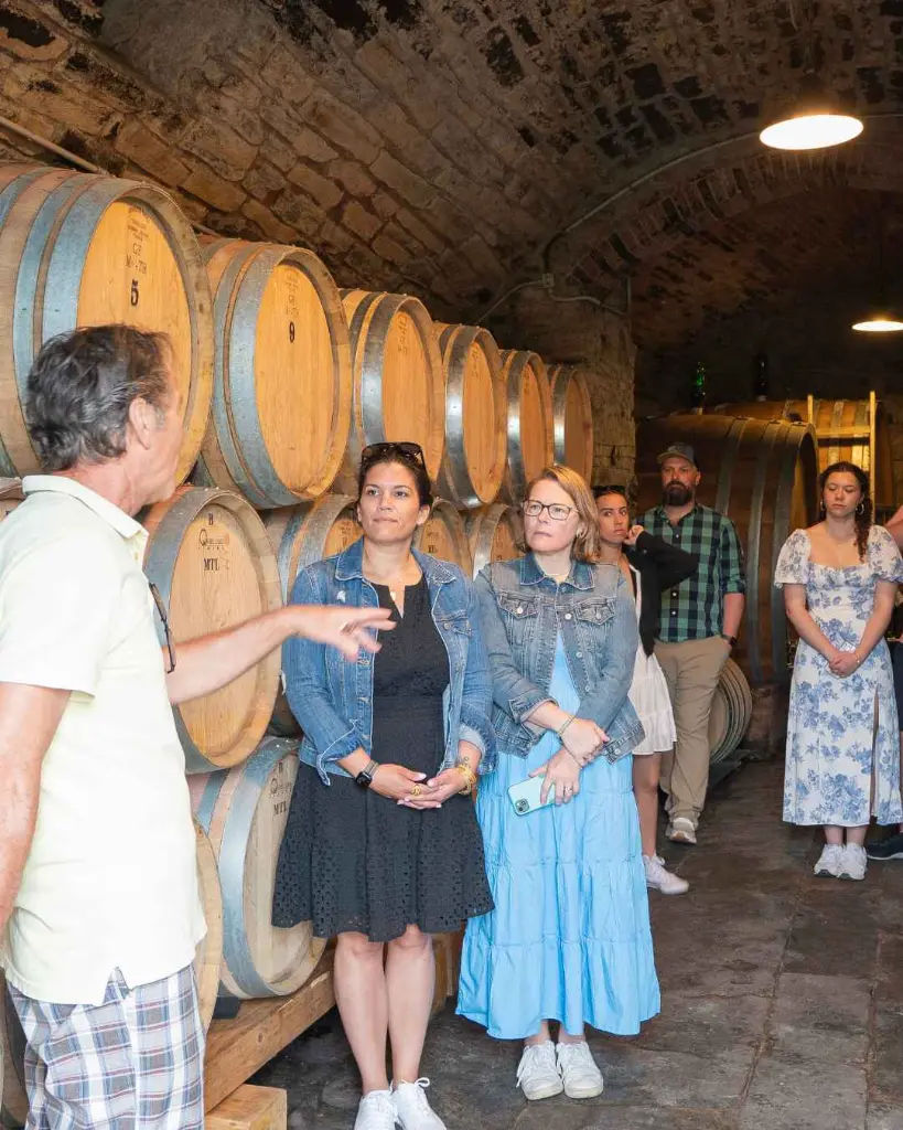 savignola-winery-cellar-tour.webp