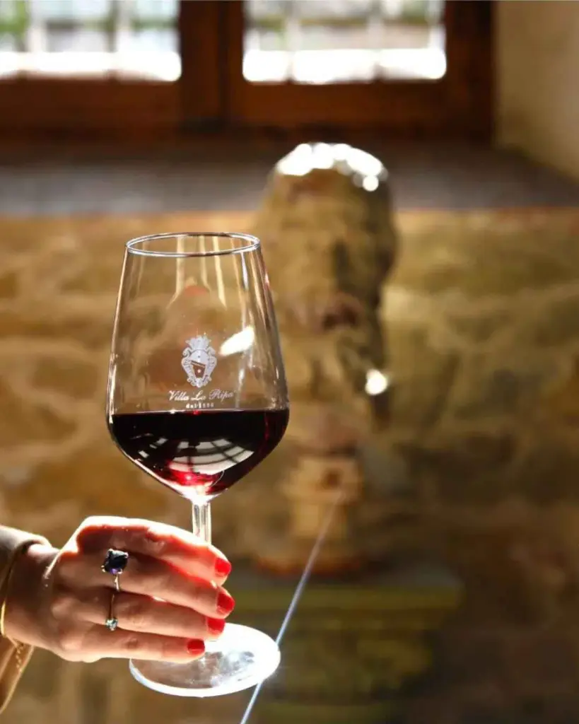 villa-la-ripa-red-wine.webp