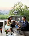 hall-wines-cabernet-callector-experience.webp