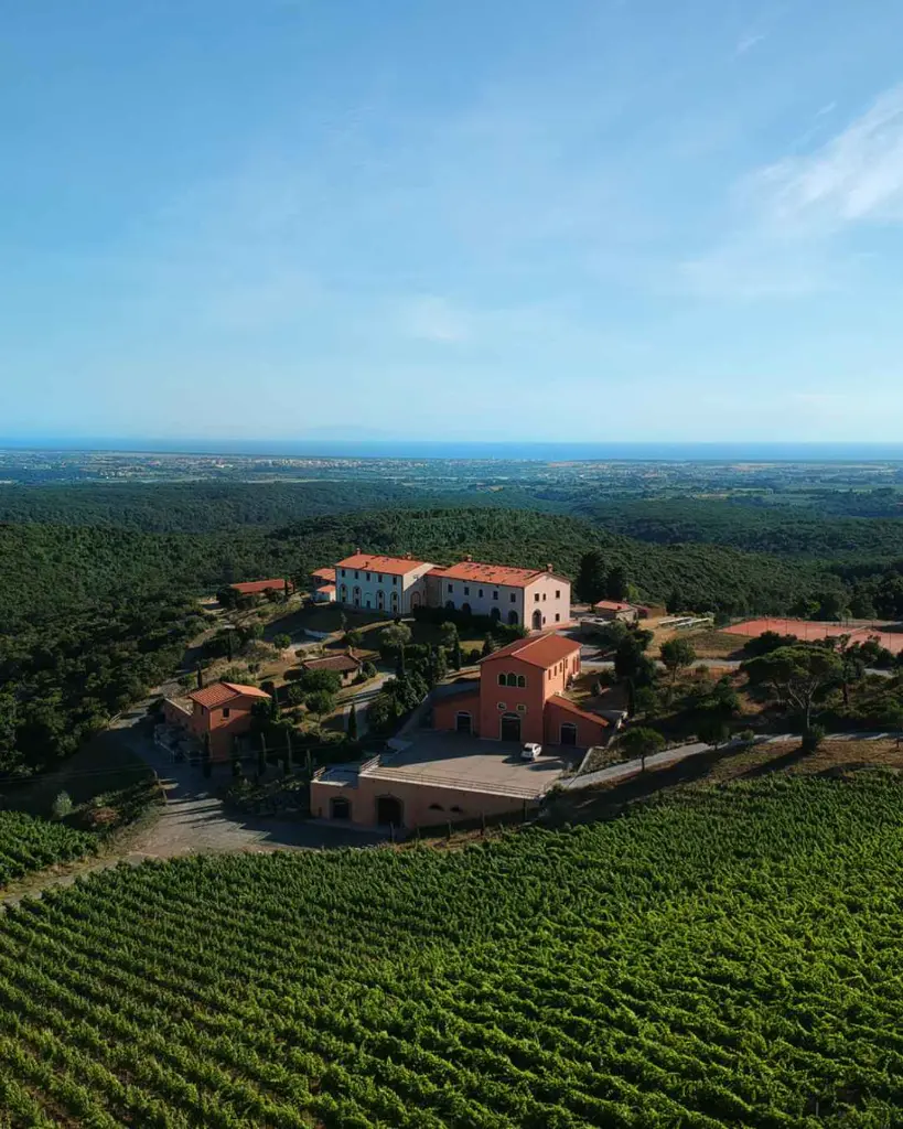 winery-pakravan-papi-wine-experience.webp