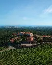 winery-pakravan-papi-wine-experience.webp