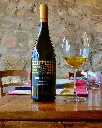 pakravan-papi-winery-wine-tasting.webp