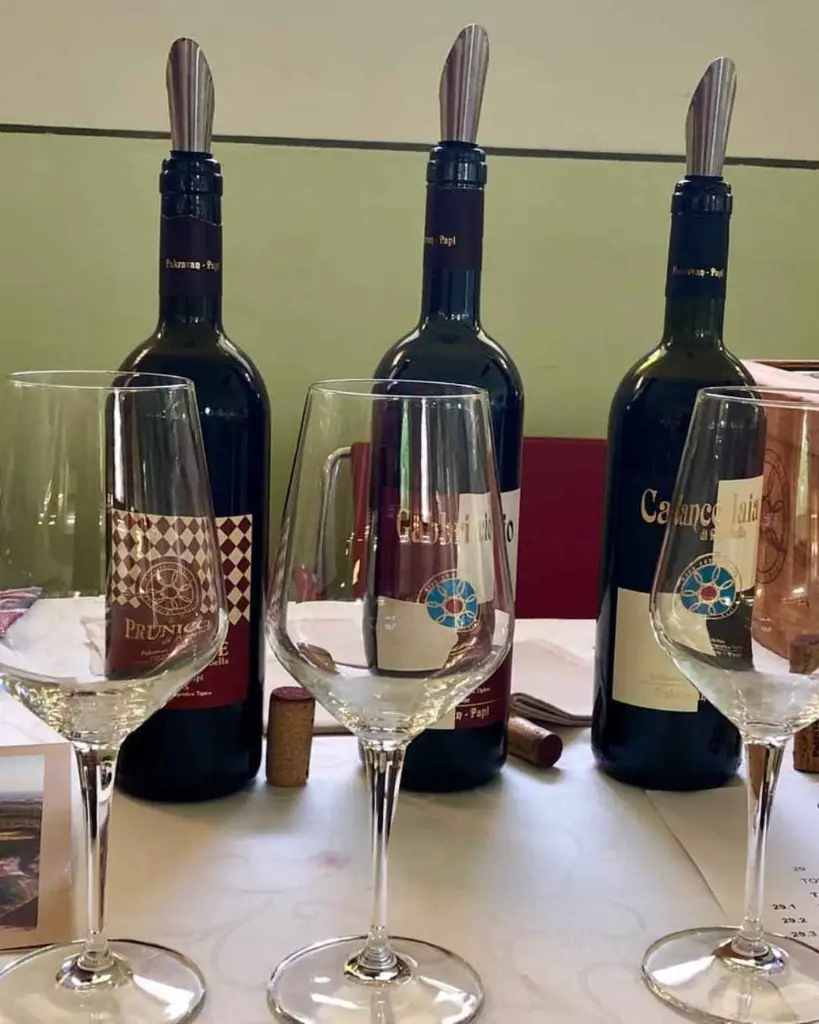 pakravan-papi-wine-tasting.webp