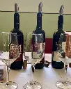 pakravan-papi-wine-tasting.webp