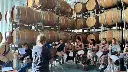 barossa-hahndorf-wine-tour.jpg.webp