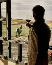 virtus-winery-wine-tasting.webp