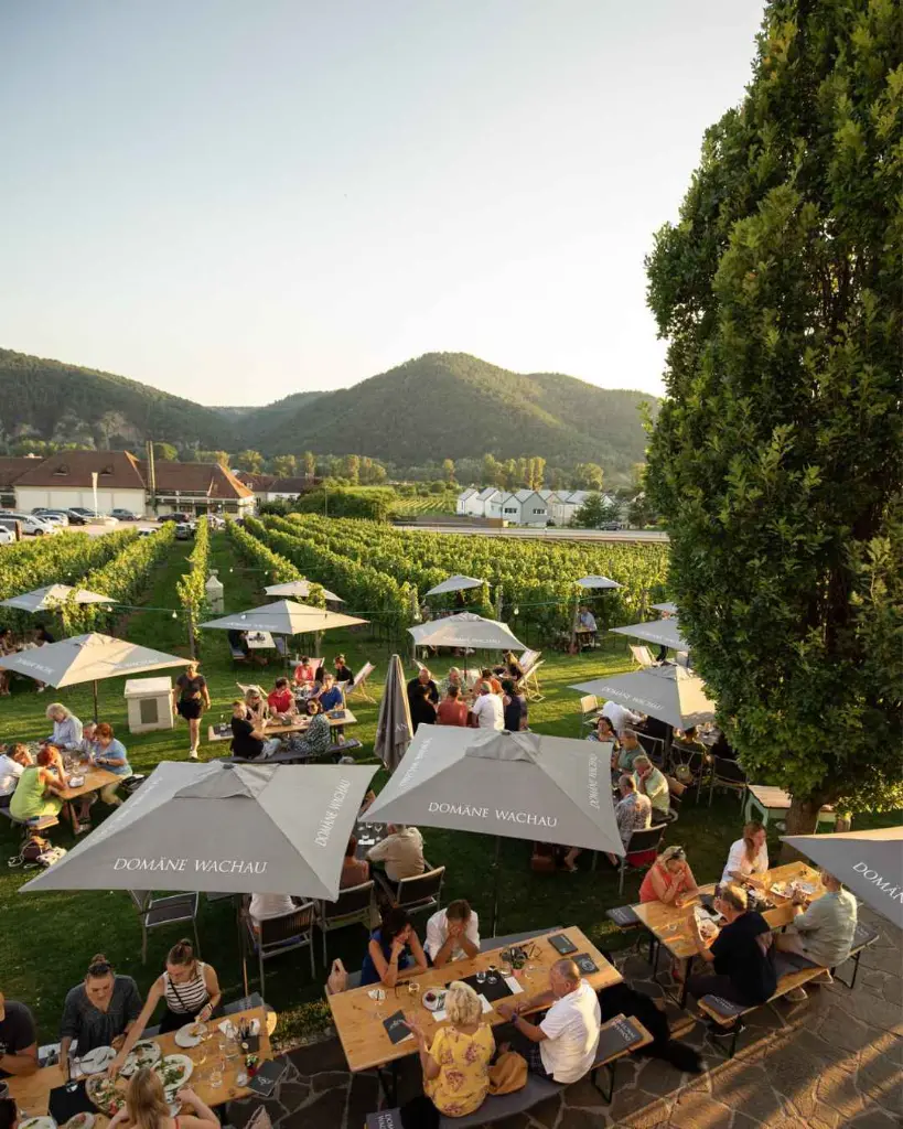 domane-wachau-outdoor-tasting-estate-tour.webp