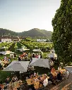 domane-wachau-outdoor-tasting-estate-tour.webp