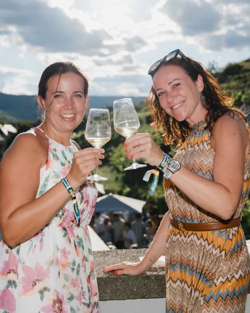 domane-wachau-winery-tasting-and-visit.webp