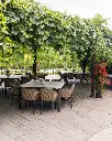 winery-kracher-outdoor-tasting.webp