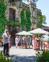 montelena-winery-estate-collection-napa-outdoor.webp