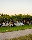 leo-hillinger-winery-outdoor-tour-and-tasting.webp