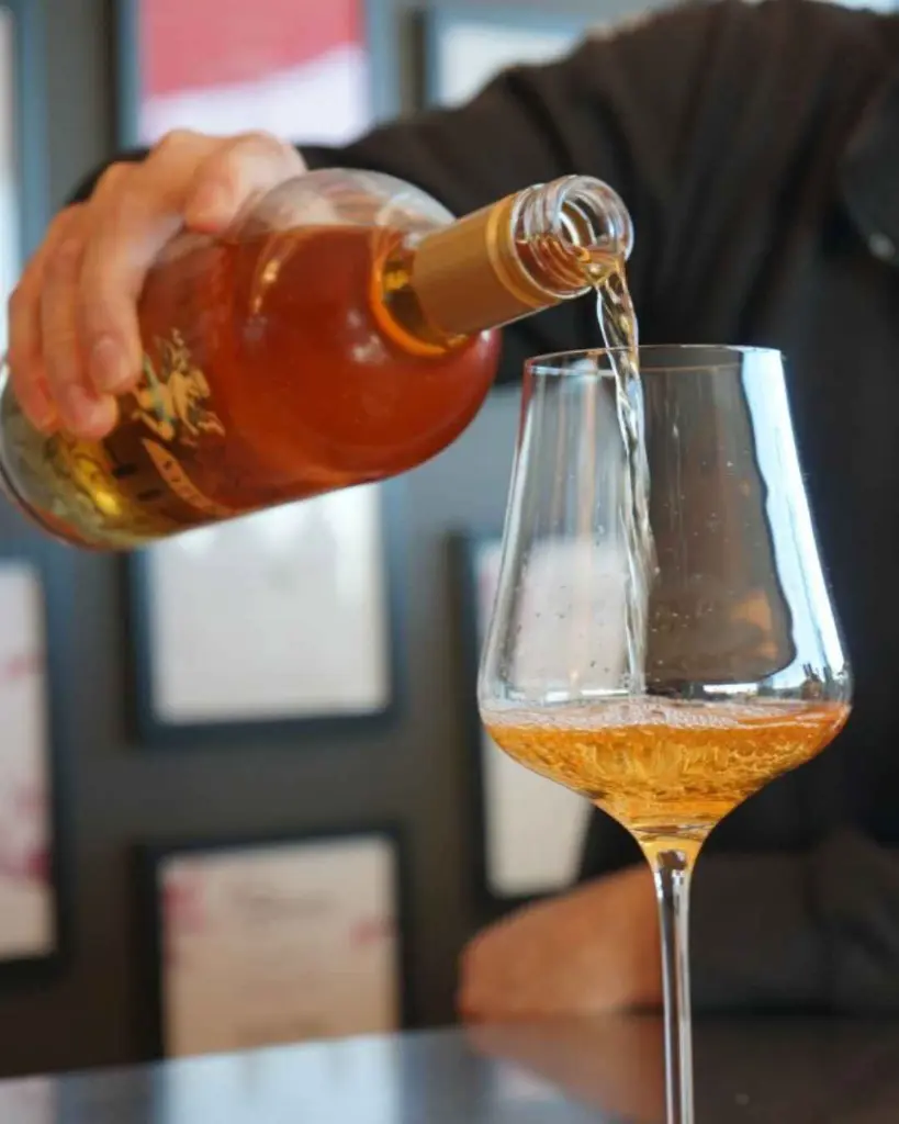 tour-visit-and-tasting-leo-hillinger.webp