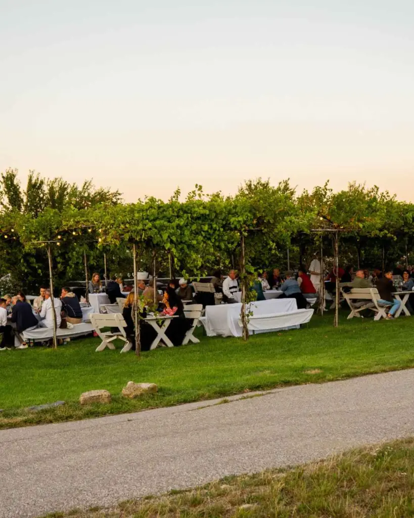 leo-hillinger-winery-outdoor-tour-and-tasting.webp