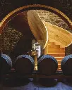 tenuta-casenuova-tuscany-italy-cellar-tour.webp