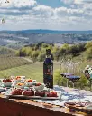 tenuta-casenuova-tuscany-italy-private-tour.webp