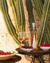 masseria-altemura-puglia-italy-tasting-white-wines.webp