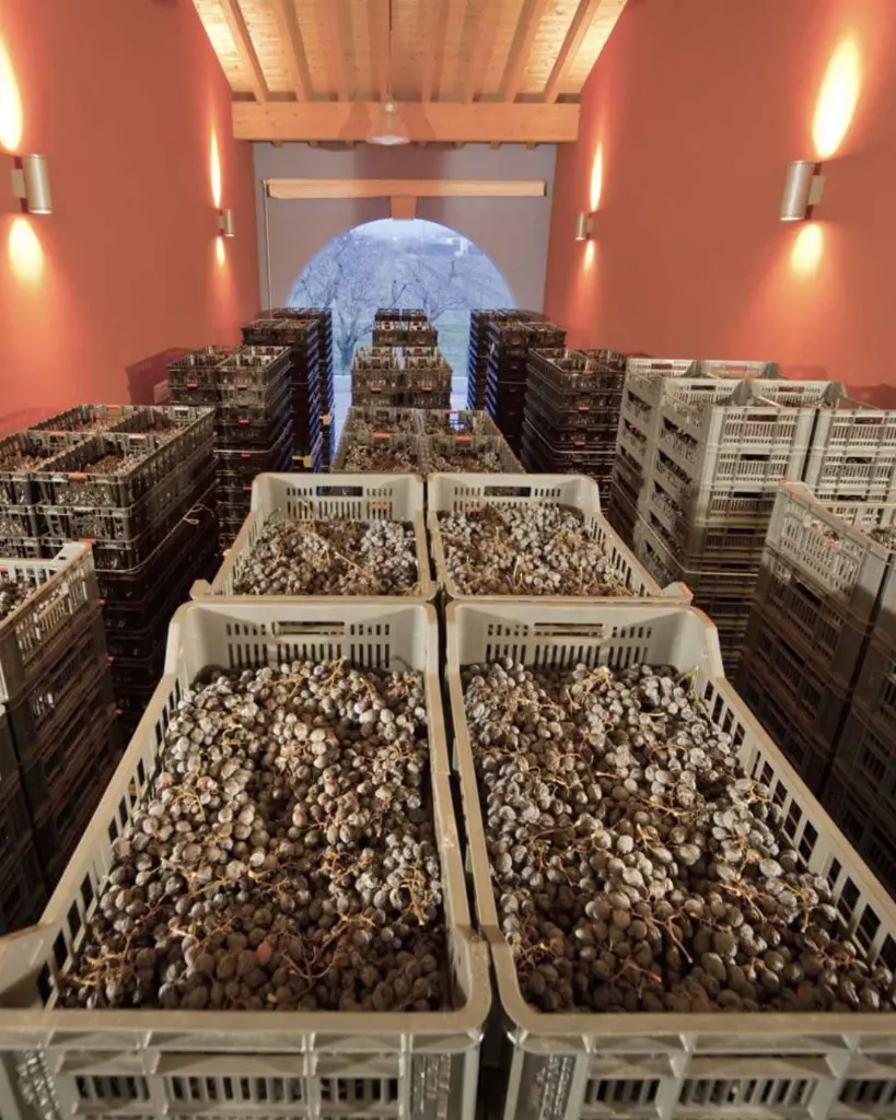 la-dama-winery-grape-harvest.webp