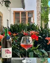 viisit-and-tasting-at-winery-peter-schandl.webp