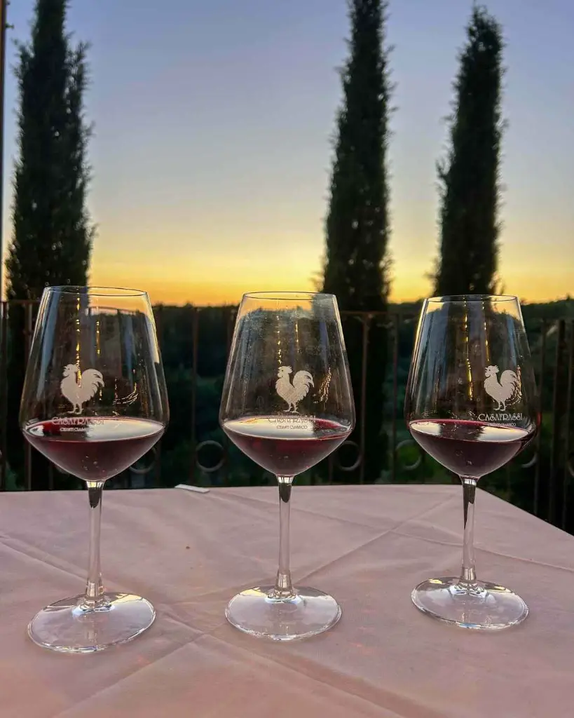 casafrassi-winery-red-wine-tasting.webp
