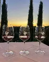 casafrassi-winery-red-wine-tasting.webp