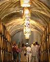 quinta-do-ted-cellar-tour-portugal.webp