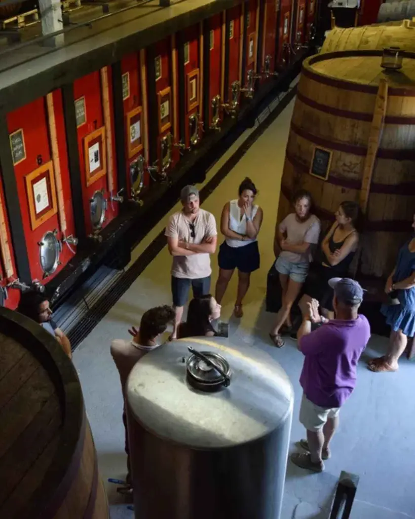 quinta-do-tedo-cellar-visit-portugal-douro.webp