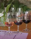 quinta-do-tedo-five-wine-tasting.webp