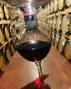 macia-batle-cellar-tour-mallorca.webp