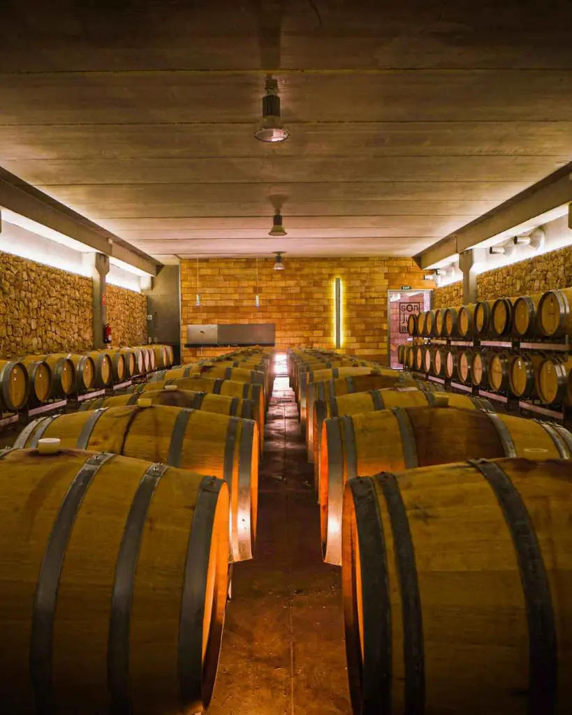 bodegas-son-juliana-cellar-tour-mallorca.webp