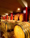 belcolle-wine-cellar-piedmont.webp