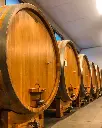 castello-di-perno-wine-cellar-italy.webp