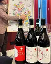 castello-di-perno-barolo-wine-tasting.webp